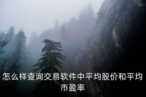 怎么樣查詢交易軟件中平均股價和平均市盈率