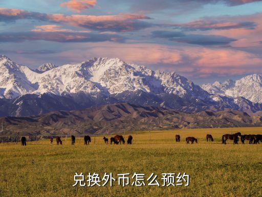兌換外幣怎么預(yù)約