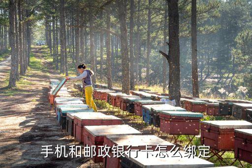 怎么綁定儲(chǔ)蓄銀行，怎么用手機(jī)綁定銀行賬號(hào)
