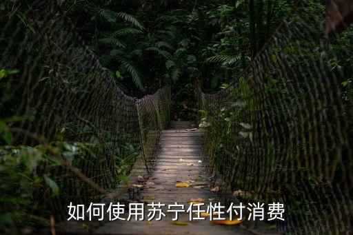 蘇寧任性付線下怎么用，蘇寧金融的任性付可以在哪消費