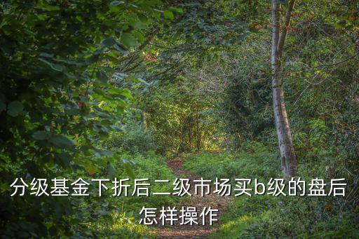 分級基金下折后二級市場買b級的盤后怎樣操作