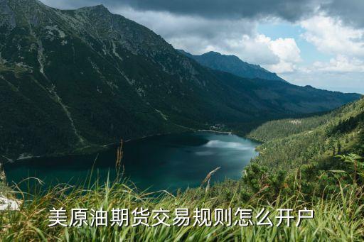 美原油期貨交易規(guī)則怎么開戶