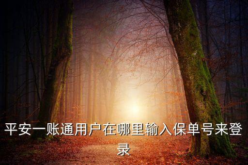 平安一賬通怎么添加保單，平安一賬通用戶在哪里輸入保單號(hào)來(lái)登錄