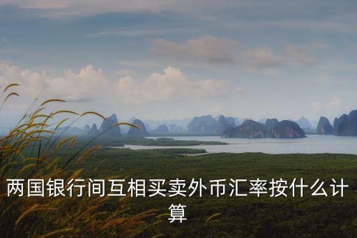 兩國(guó)銀行間互相買賣外幣匯率按什么計(jì)算