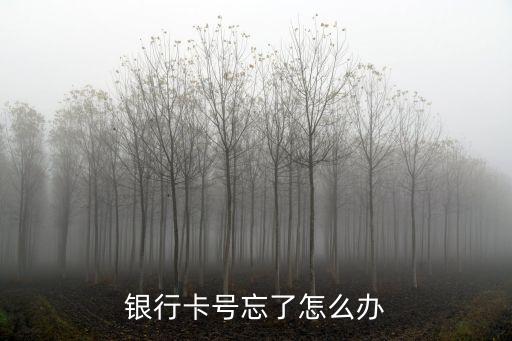 銀行卡號忘了怎么辦
