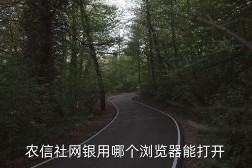 農(nóng)信企業(yè)網(wǎng)銀怎么打開，農(nóng)信社網(wǎng)銀用哪個瀏覽器能打開