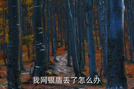 我網(wǎng)銀盾丟了怎么辦