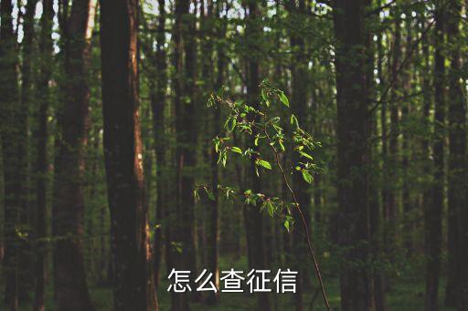 怎么查征信