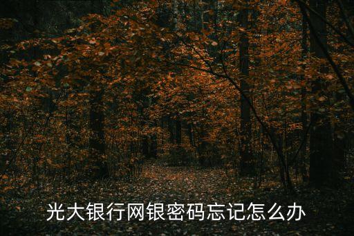 光大銀行網(wǎng)銀密碼忘記怎么辦