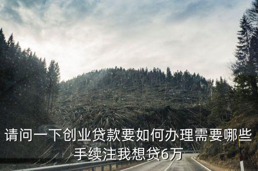 請問一下創(chuàng)業(yè)貸款要如何辦理需要哪些手續(xù)注我想貸6萬