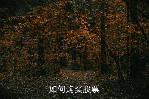 如何購買股票