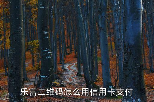 樂富二維碼怎么用信用卡支付