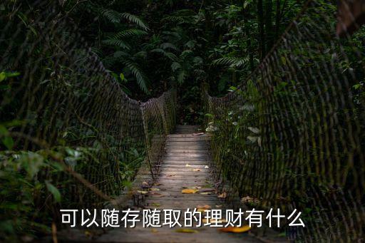 可以隨存隨取的理財(cái)有什么
