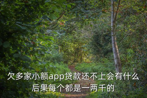 欠多家小額app貸款還不上會有什么后果每個都是一兩千的