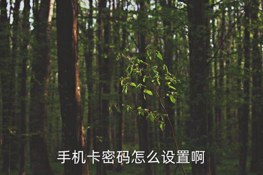 怎么設(shè)置手機(jī)卡密碼，手機(jī)卡密碼怎么設(shè)置啊