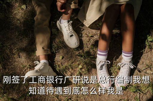 剛簽了工商銀行廣研說是總行編制我想知道待遇到底怎么樣我是