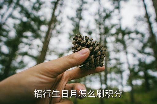 招商生日 積分 怎么刷，招行生日10倍怎么刷最方面