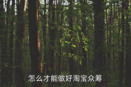 阿里里面怎么做眾籌，淘寶眾籌個(gè)人公益公益怎么發(fā)起