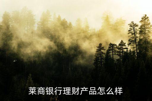 萊商銀行理財(cái)產(chǎn)品怎么樣