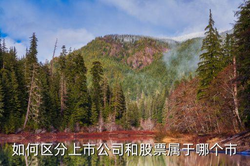 如何區(qū)分上市公司和股票屬于哪個市