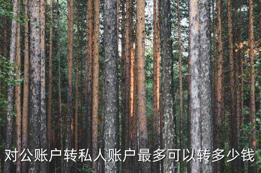 對公賬戶轉(zhuǎn)私人賬戶最多可以轉(zhuǎn)多少錢