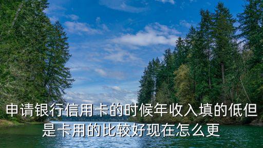 申請(qǐng)銀行信用卡的時(shí)候年收入填的低但是卡用的比較好現(xiàn)在怎么更