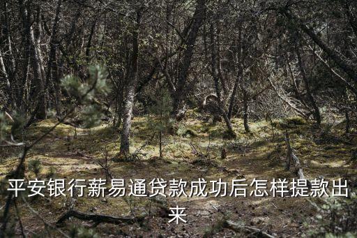 平安薪易通怎么激活，平安薪易通怎么辦理