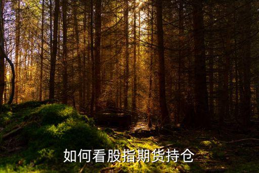 怎么看股指期貨持倉，股指期貨的持倉量怎樣看