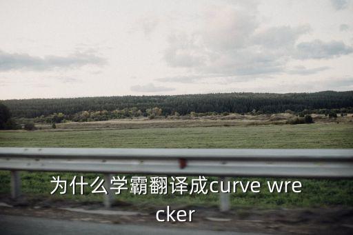 納瑟姆曲線英語(yǔ)怎么說(shuō)，為什么學(xué)霸翻譯成curve wrecker