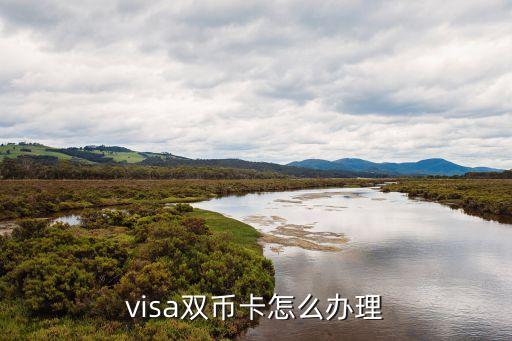 visa雙幣卡怎么辦理