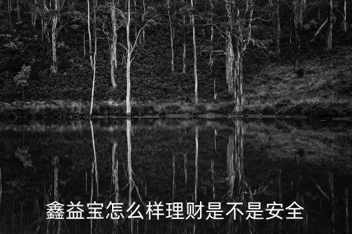 鑫益寶怎么買，鑫合匯鑫益寶可靠么收益風(fēng)險怎么樣和評價評論