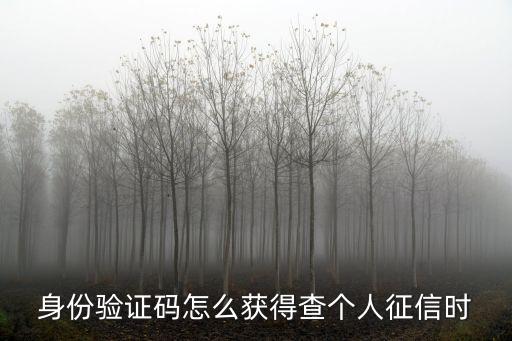 身份驗證碼怎么獲得查個人征信時
