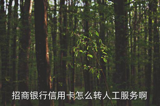 招行怎么轉人工，招商銀行信用卡怎么轉人工服務啊