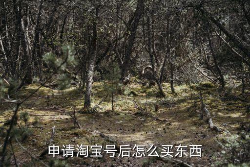 申請?zhí)詫毺柡笤趺促I東西