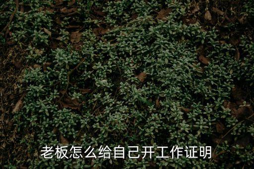 公司開(kāi)工作證明怎么開(kāi)，工作證明怎么開(kāi)