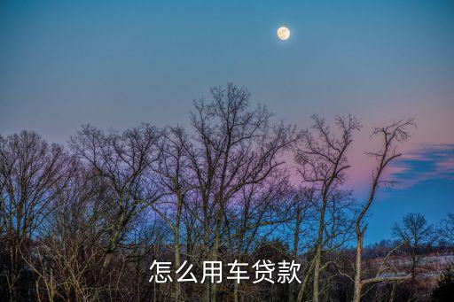 怎么用車貸款
