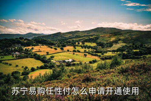 蘇寧的任性付怎么開(kāi)通，蘇寧易購(gòu)任性付怎么申請(qǐng)開(kāi)通使用