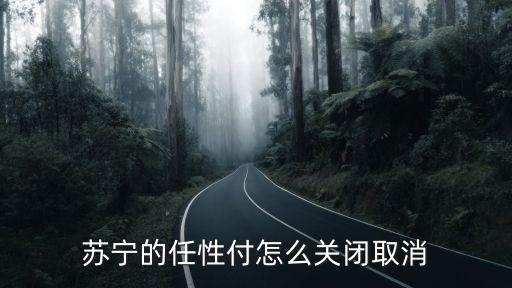 蘇寧的任性付怎么關(guān)閉取消