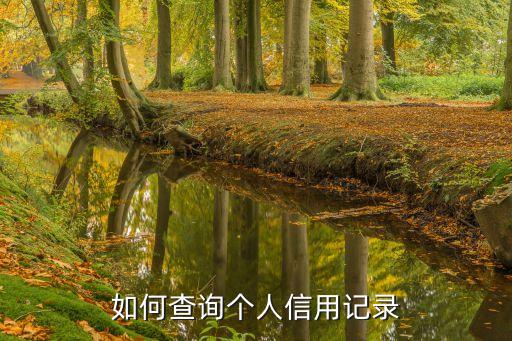如何查詢個(gè)人信用記錄