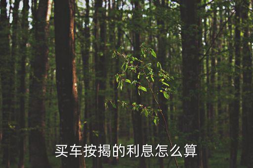 買車按揭的利息怎么算