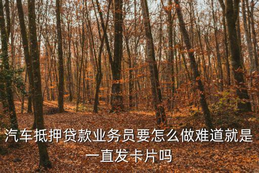 汽車抵押貸款業(yè)務(wù)員要怎么做難道就是一直發(fā)卡片嗎