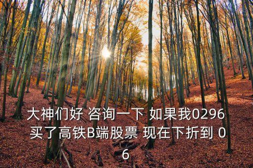 高鐵b股票怎么樣，高鐵b基金下折后會(huì)如何會(huì)清零嗎我06買了它該如何操作  搜