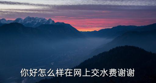 你好怎么樣在網(wǎng)上交水費謝謝