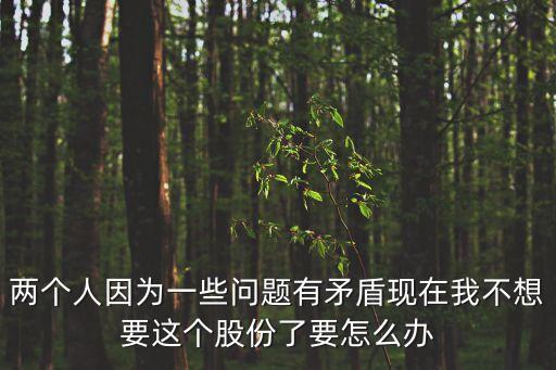 兩個人因為一些問題有矛盾現(xiàn)在我不想要這個股份了要怎么辦
