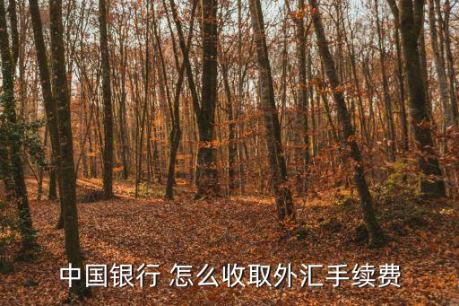 中國(guó)銀行 怎么收取外匯手續(xù)費(fèi)