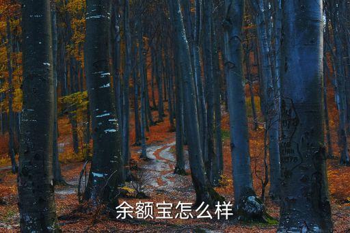 余額寶怎么樣