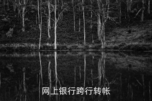 不同銀行網(wǎng)上轉(zhuǎn)賬怎么轉(zhuǎn)，怎么在網(wǎng)上轉(zhuǎn)賬是不同銀行的卡