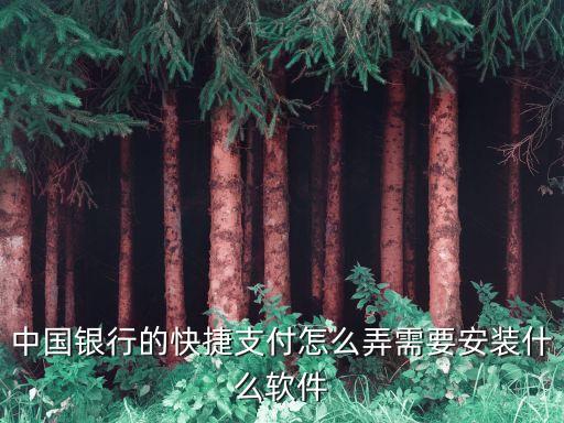 中行快捷支付怎么開通，中銀快付怎么開通