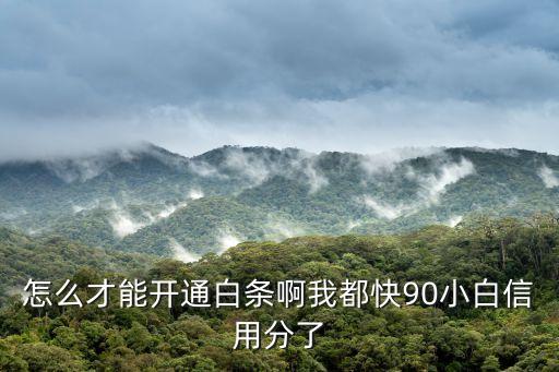 怎么才能開(kāi)通白條啊我都快90小白信用分了