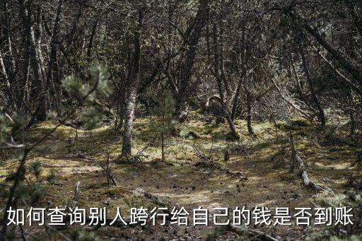 怎么查跨行轉(zhuǎn)賬，跨行的匯款怎么查詢